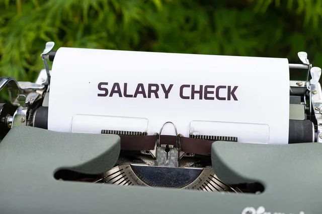 typewriter, salary check, money, income, work, employment, word, salary check, employment, employment, employment, employment, employment. Différences salariales entre cantons et secteurs : comment lire les statistiques